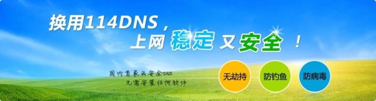 114DNS：提升上网体验的强大公共DNS服务。