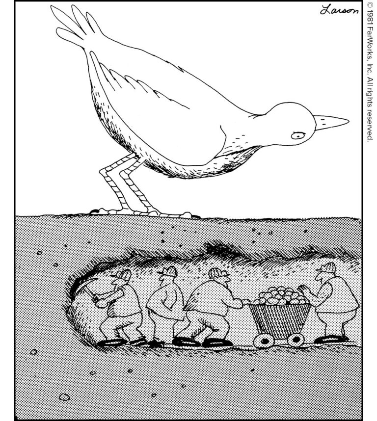 美国著名漫画家加里·拉尔森（Gary Larson）的官网，每天都有更新，展示他的单幅漫画作品。
